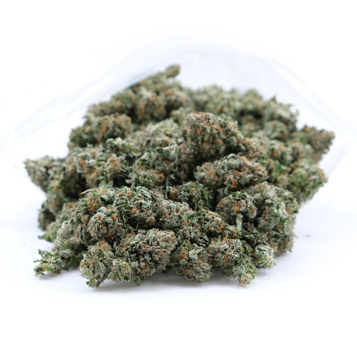 Ob feminisiert oder regulär – Weed Samen kaufen leicht gemacht