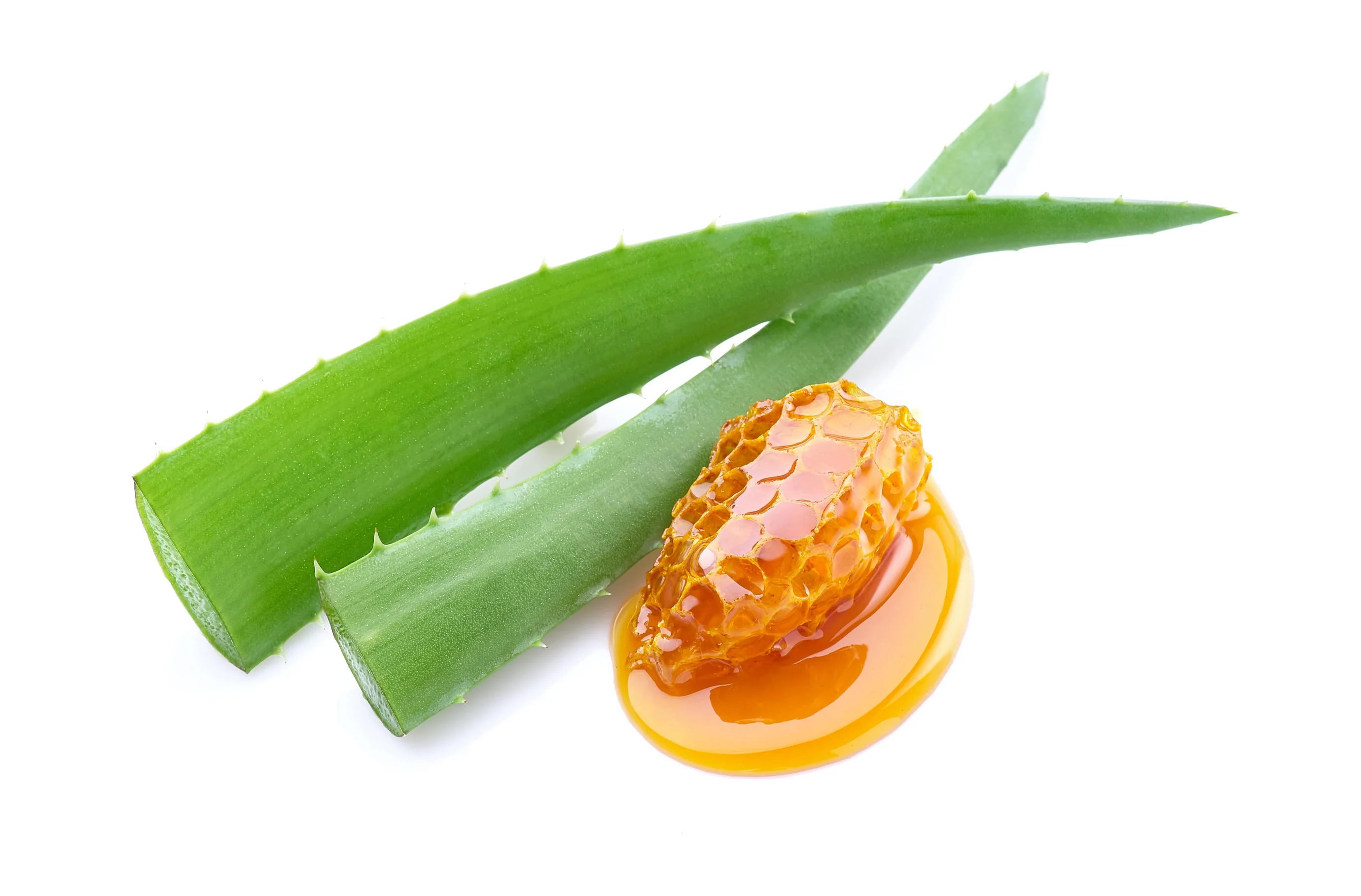 Maximieren Sie Ihre Vertriebsgewinne mit Aloe Vera Ever Shield als Unabhängiger Distributor von Forever Living Products
