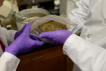 Was ist eine Kratom Troche?