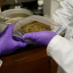 Was ist eine Kratom Troche?