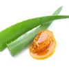 Maximieren Sie Ihre Vertriebsgewinne mit Aloe Vera Ever Shield als Unabhängiger Distributor von Forever Living Products