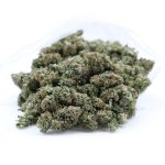 Ob feminisiert oder regulär – Weed Samen kaufen leicht gemacht