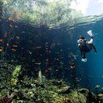Mexiko Tauchen mit DeepDiveMexico: Willkommen im Unterwasserparadies